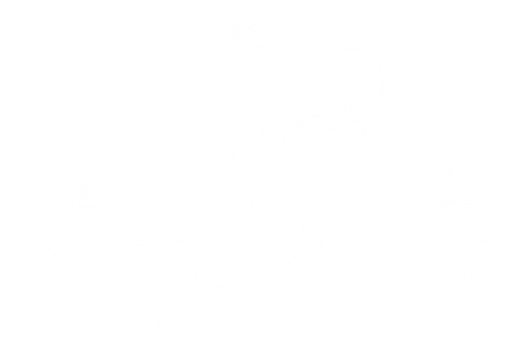 wpsauae.com